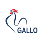 Gallo